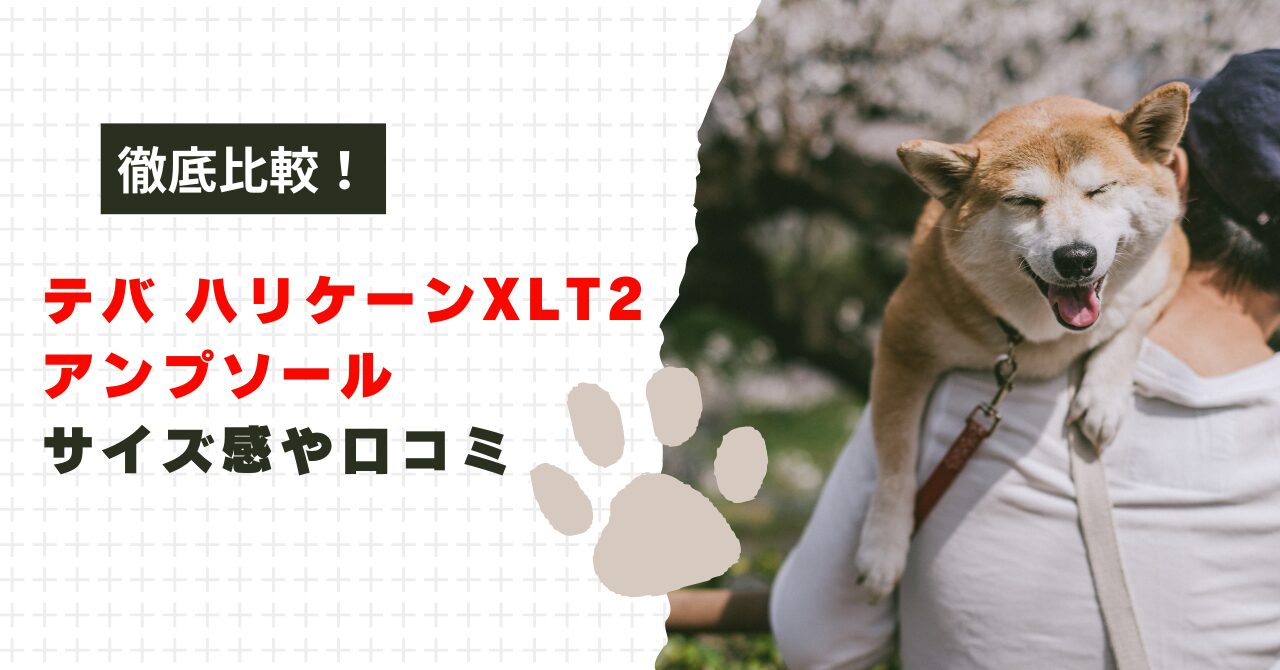 テバ ハリケーンXLT2 アンプソールの違い